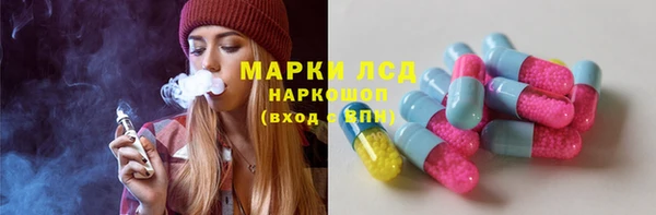 сатива Арсеньев