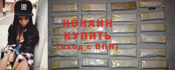 сатива Арсеньев
