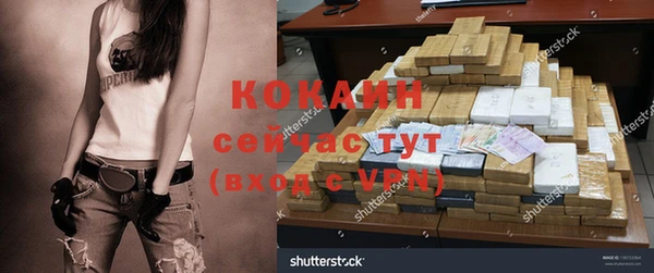 сатива Арсеньев