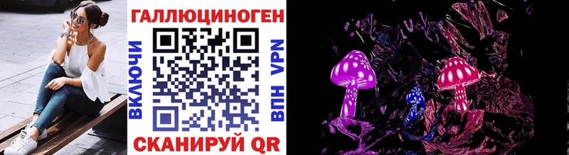 как найти   Талдом  Галлюциногенные грибы Magic Shrooms 