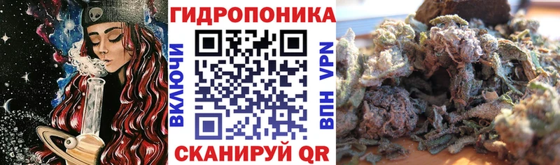 закладки  Талдом  Бошки марихуана тримм 